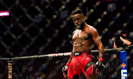 达尔基,揭示生命起源与演化的奥秘